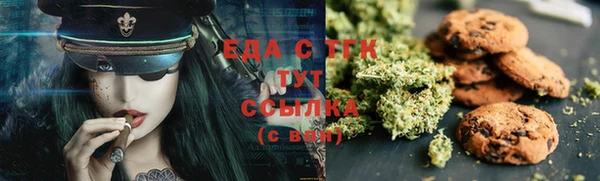 индика Алзамай