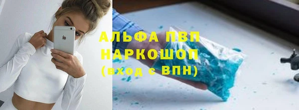 индика Алзамай