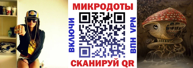 Галлюциногенные грибы Cubensis Шахты